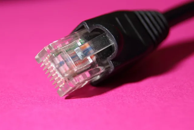pc, plug, connection, peripheral, network, hardware, edp, connection cable, computer, computer accessories, data cable, technology, macro, detail shot, network cable, peripheral, peripheral, computer accessories, computer accessories, computer accessories, computer accessories, computer accessories. Small Business Cybersecurity: What to Do in the First 24 Hours After an Attack